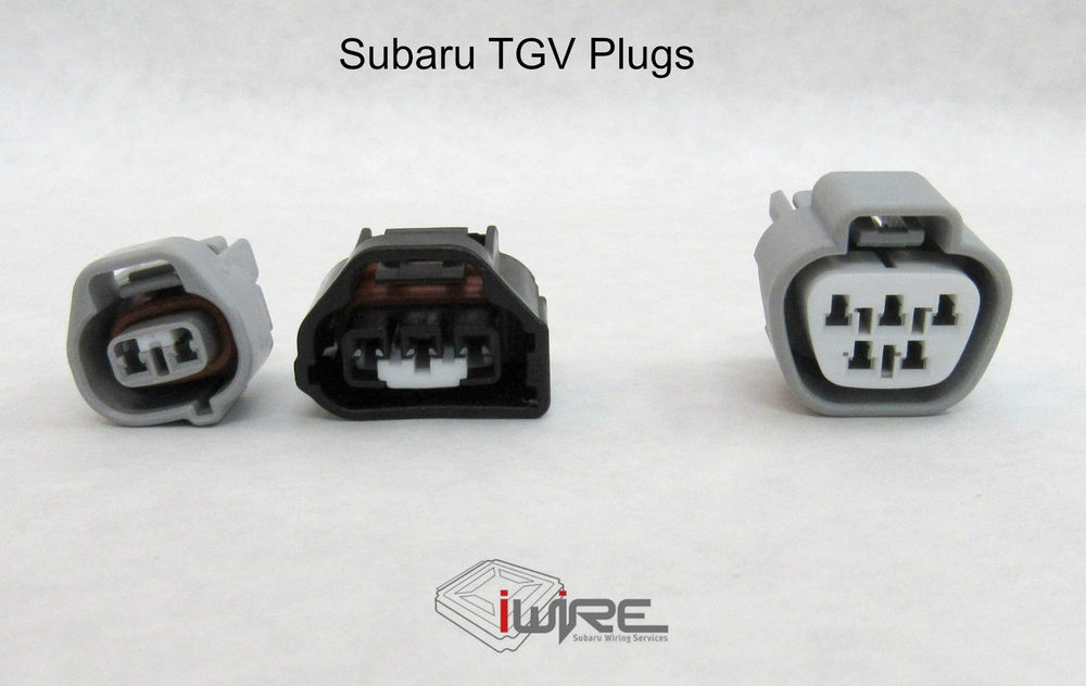 Plug Spotlight - TGV Plugs