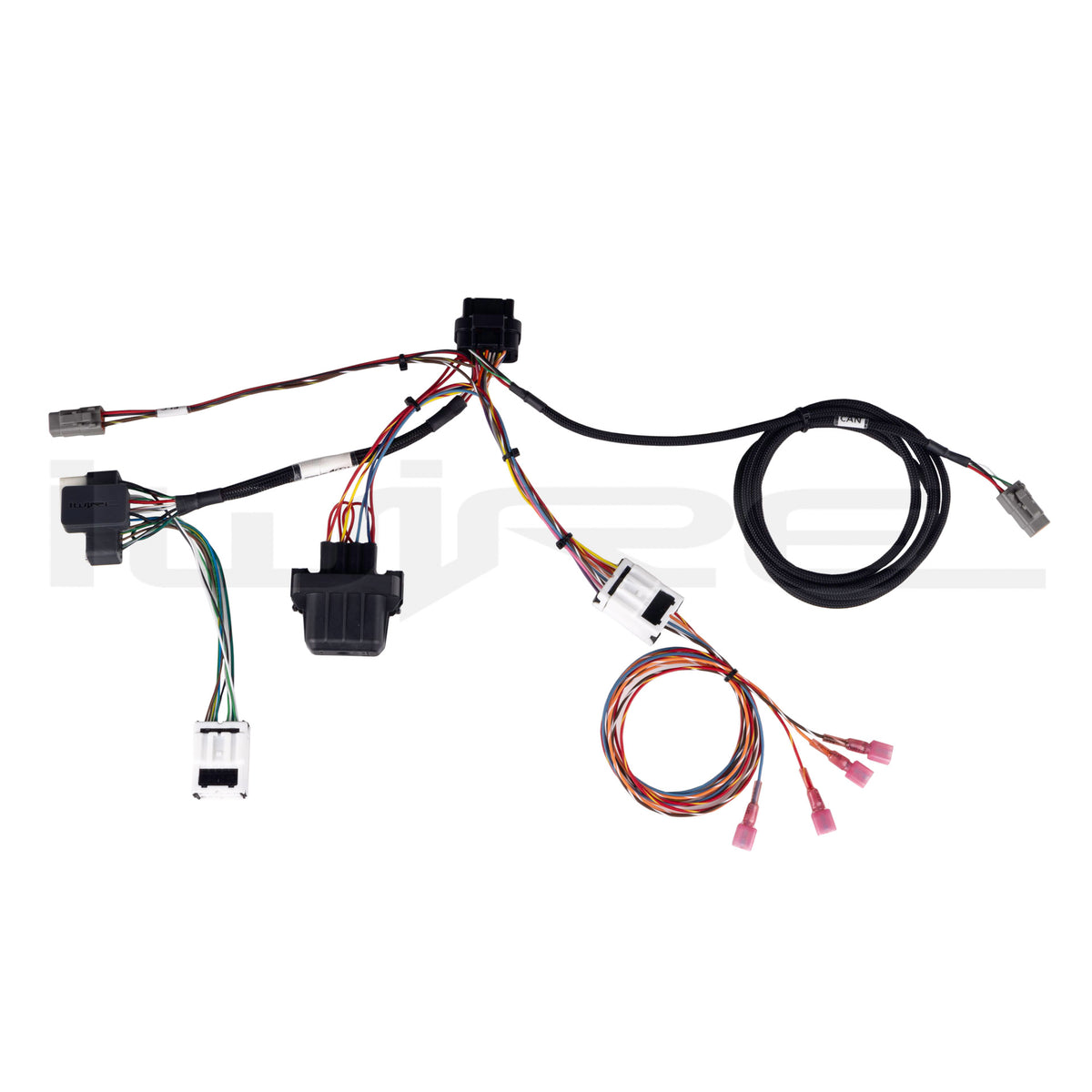 Haltech IC-7/UC-10 Digital Dash Adapter Harness | iWire Subaru