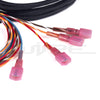 Haltech IC-7/UC-10 Digital Dash Adapter Harness