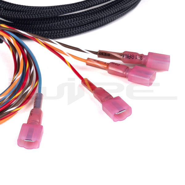 Haltech IC-7 Digital Dash Adapter Harness