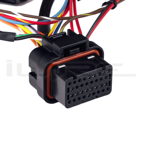 Haltech IC-7 Digital Dash Adapter Harness