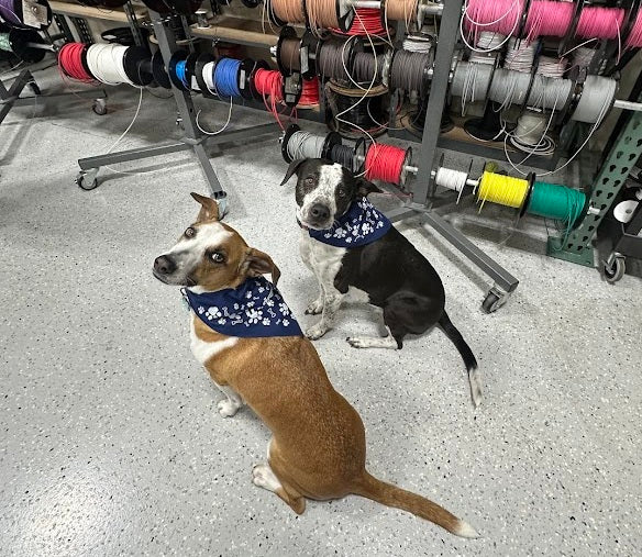 iWire Dog Bandana